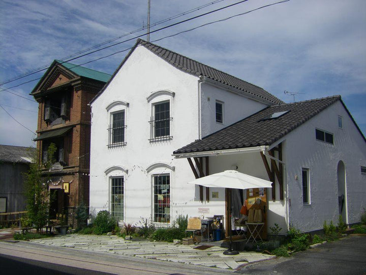 Our First Visit to Sunny Sunday in 2017