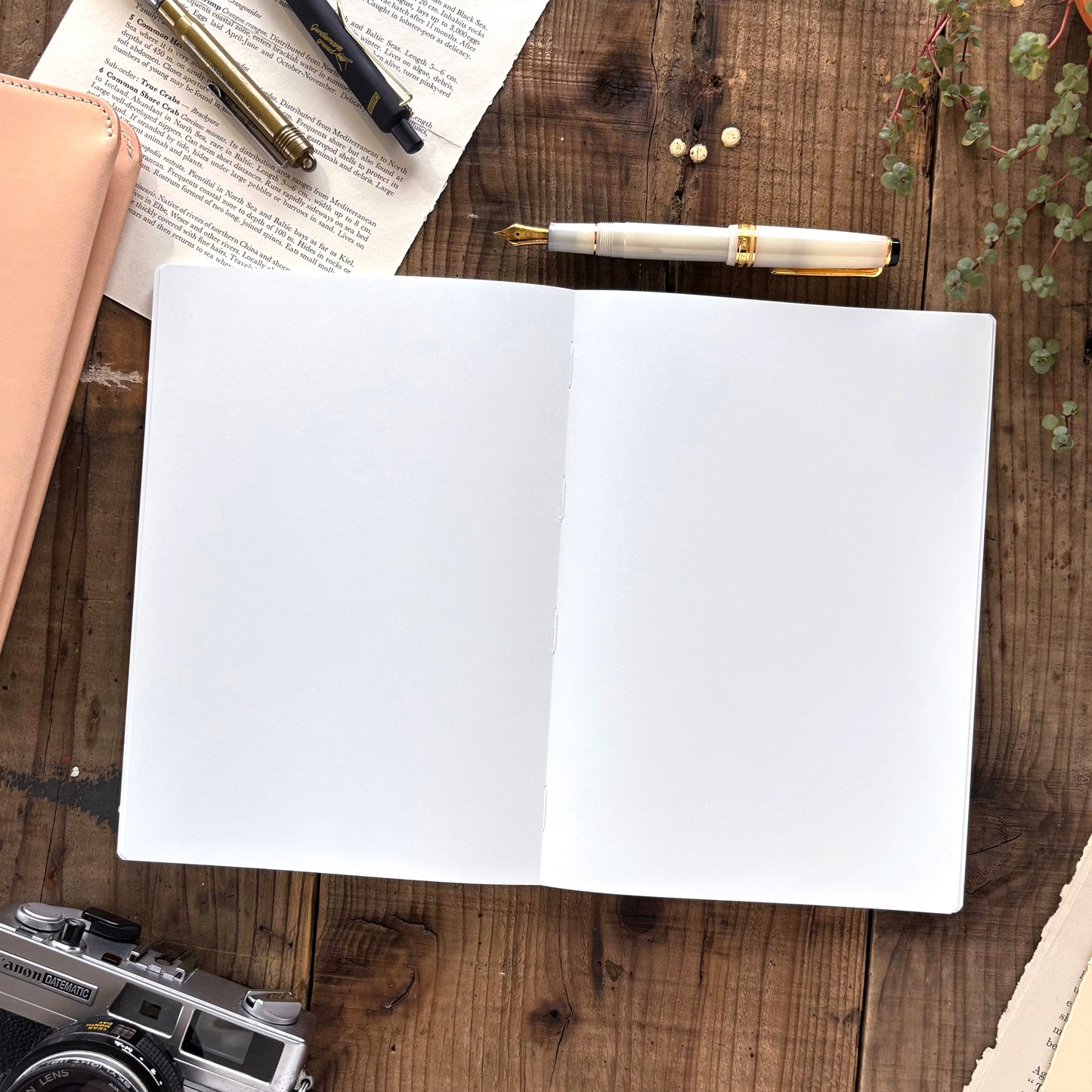 eric x neue gray x CTFJ / Notebook - A5 Plain (192 pages)