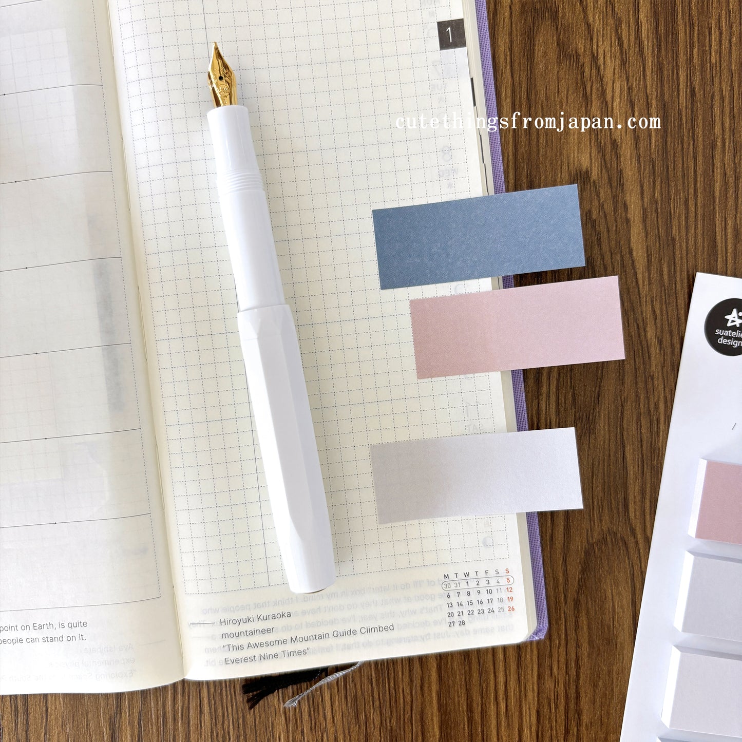 Daily Plan Sticky Note - Basic