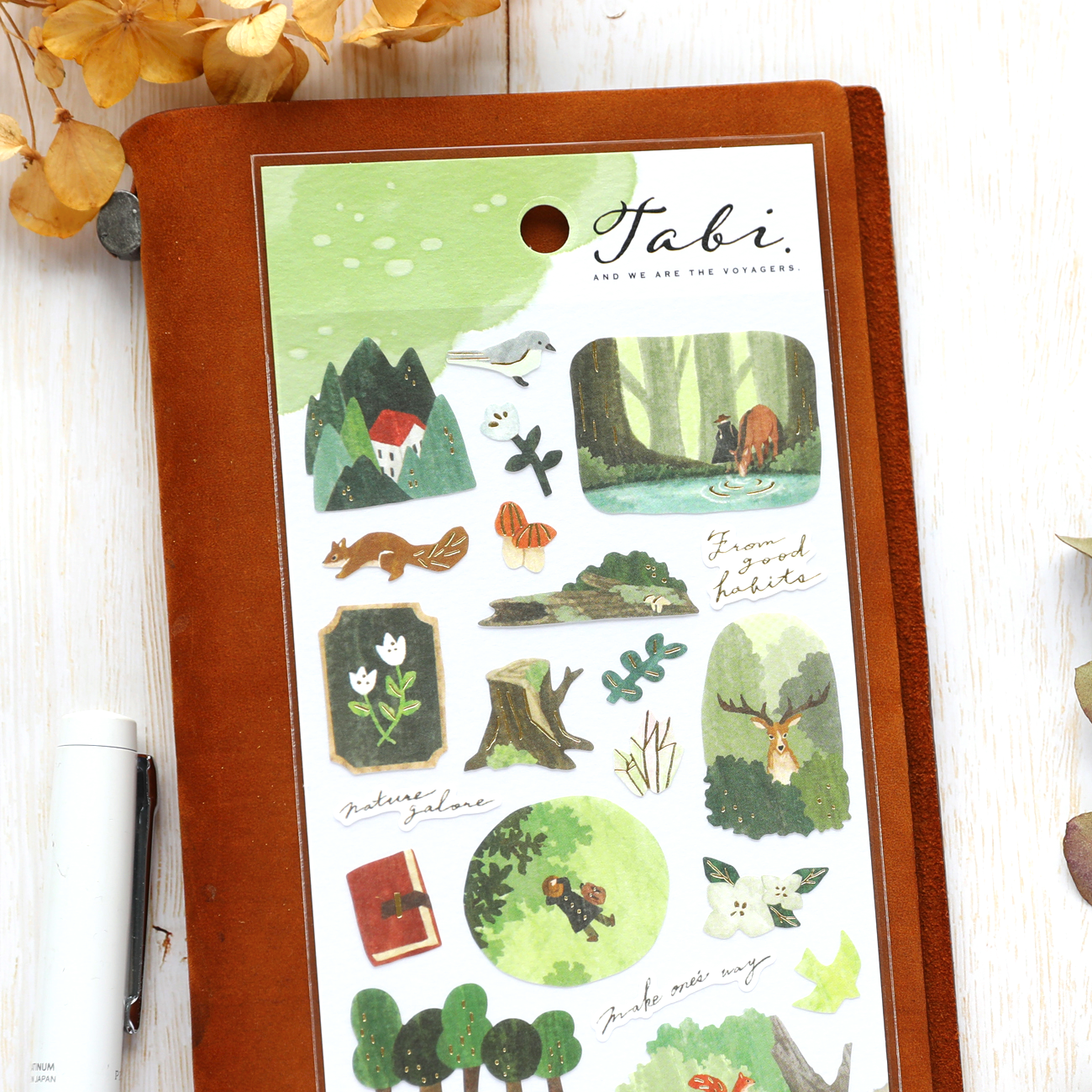 Travel Stickers - Green Forest