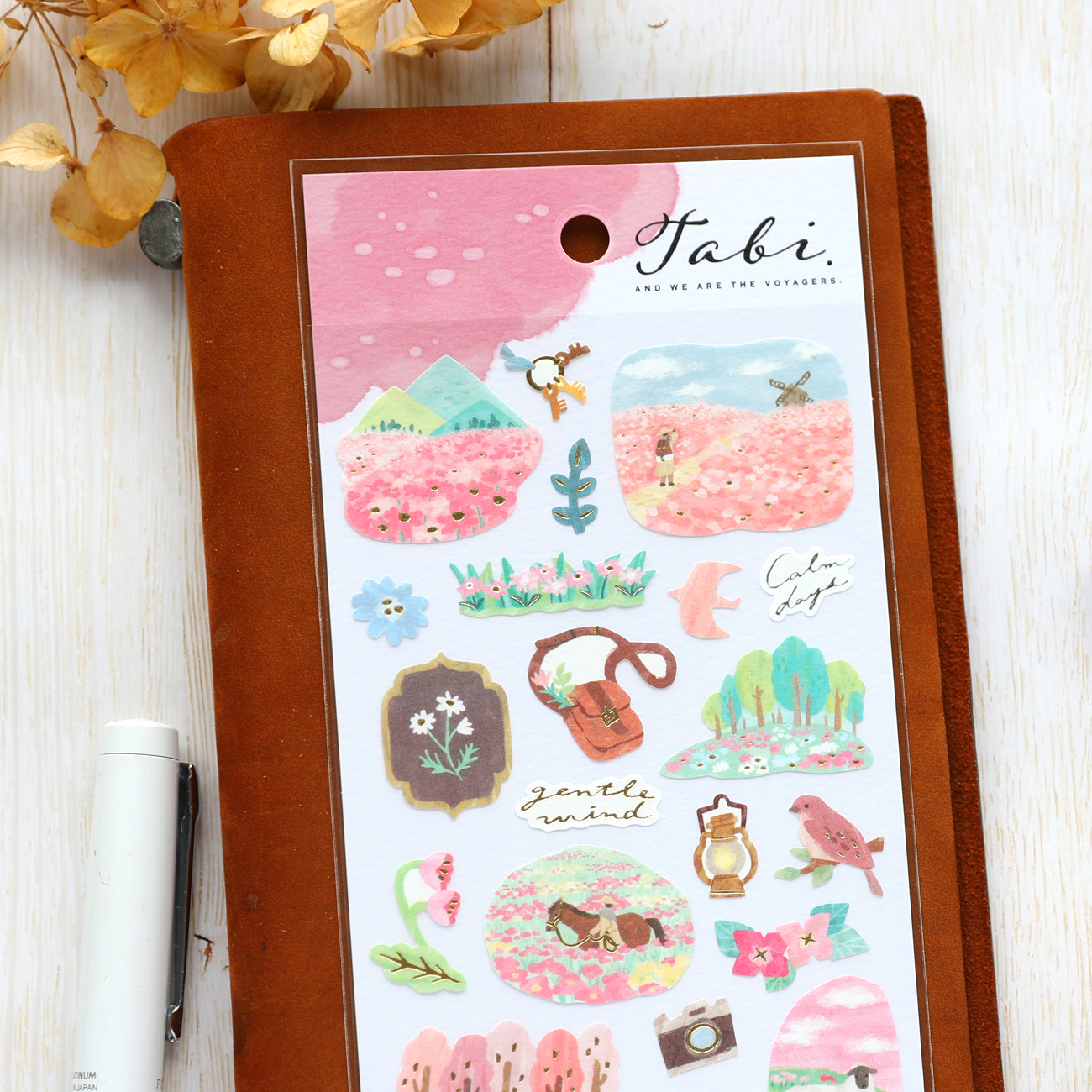 Travel Stickers - Spring Forest