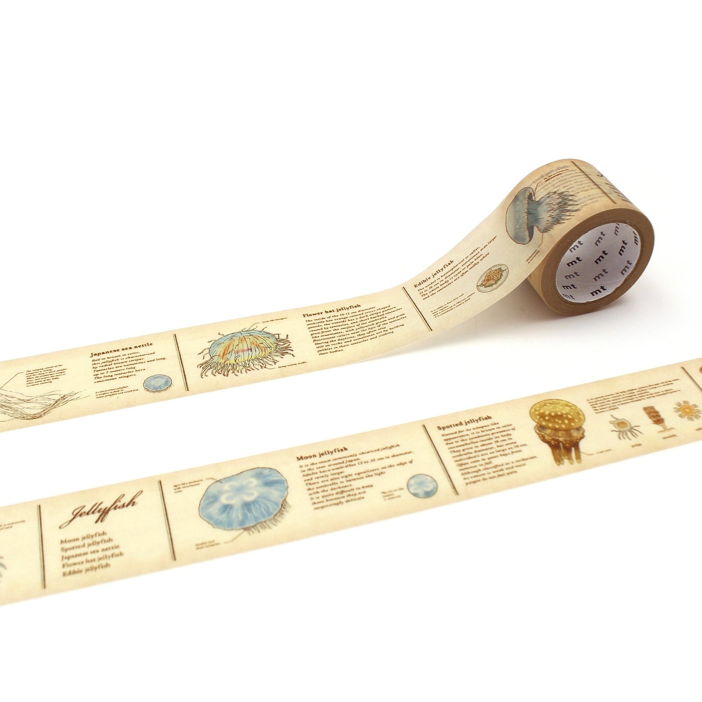 Washi Tape - Encyclopedia Jellyfish