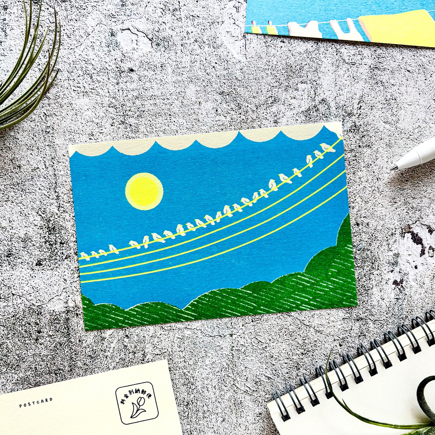 Nodoka Miyashita / Postcard - Little Birds’ Gathering