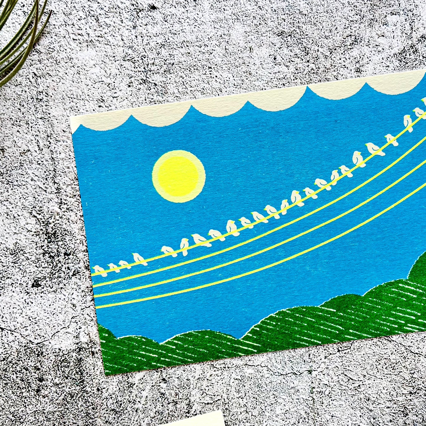 Nodoka Miyashita / Postcard - Little Birds’ Gathering