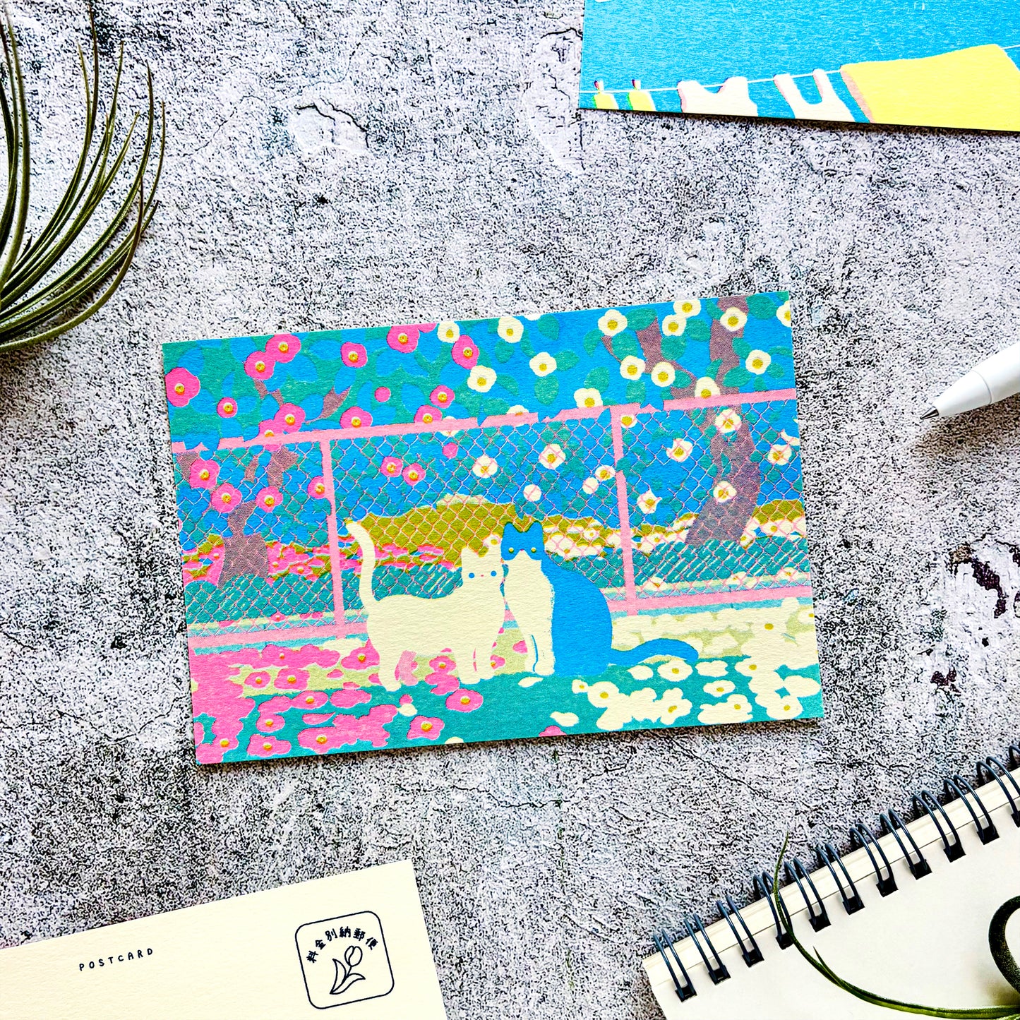 Nodoka Miyashita / Postcard - Camellia and Cat