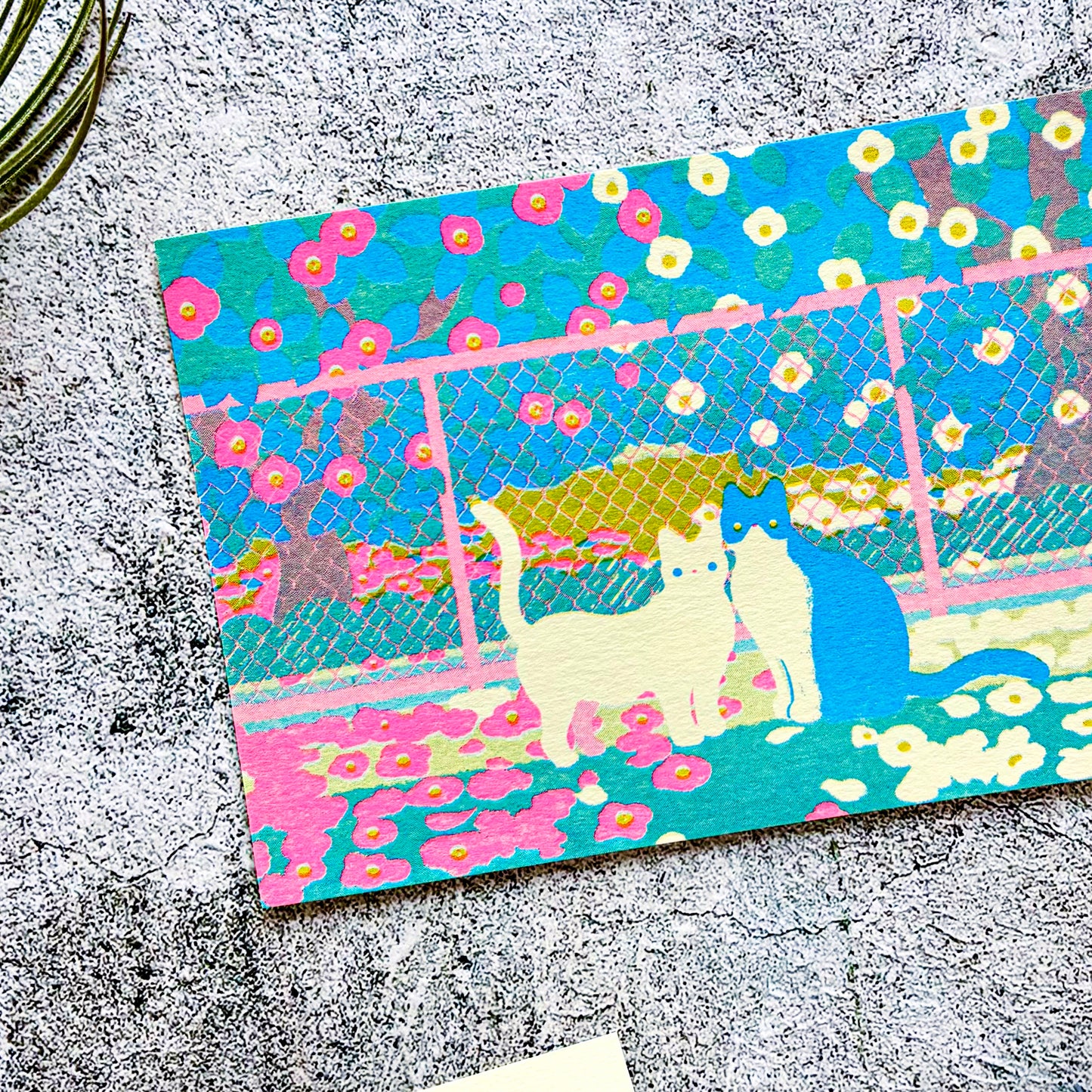 Nodoka Miyashita / Postcard - Camellia and Cat
