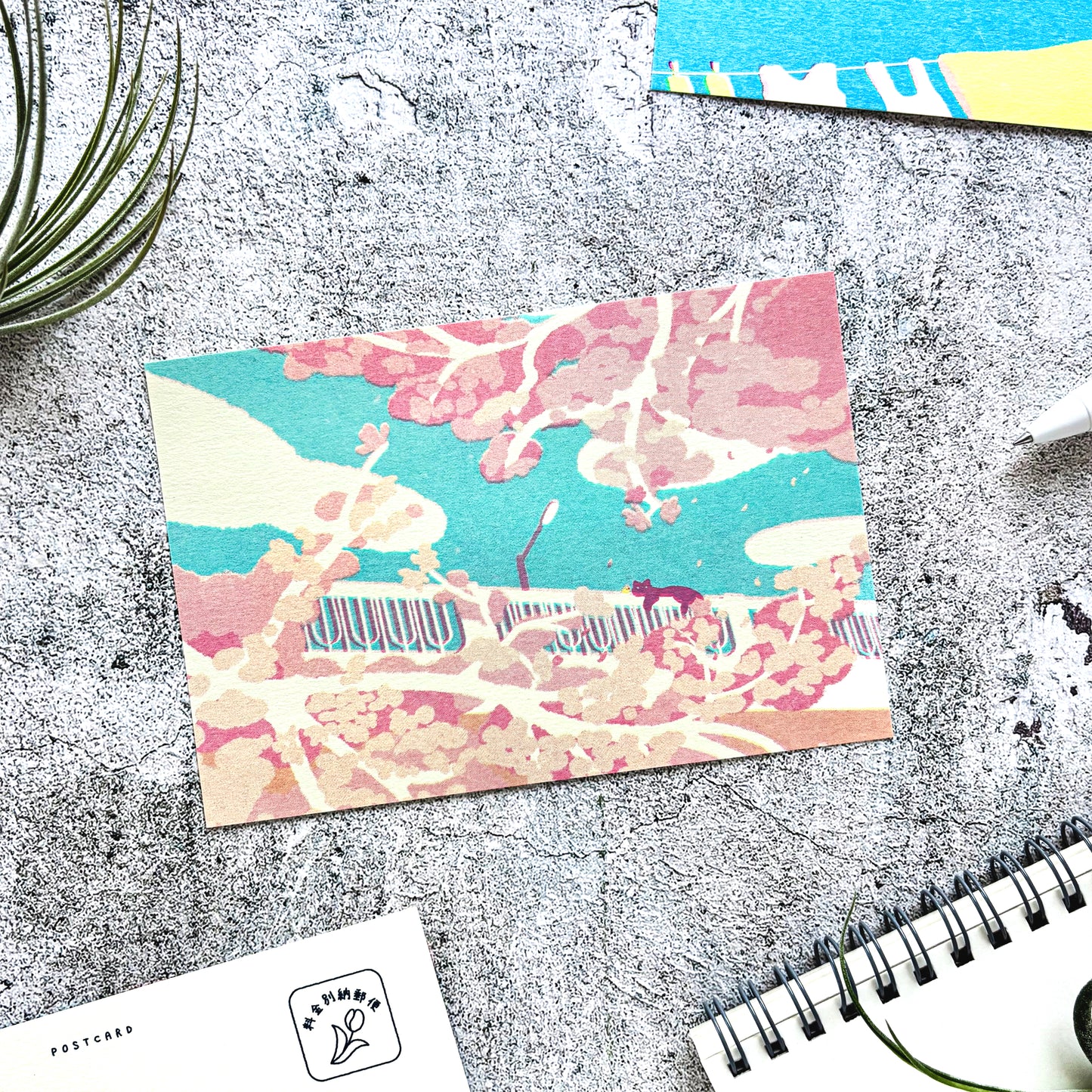 Nodoka Miyashita / Postcard - Under the Blossoms