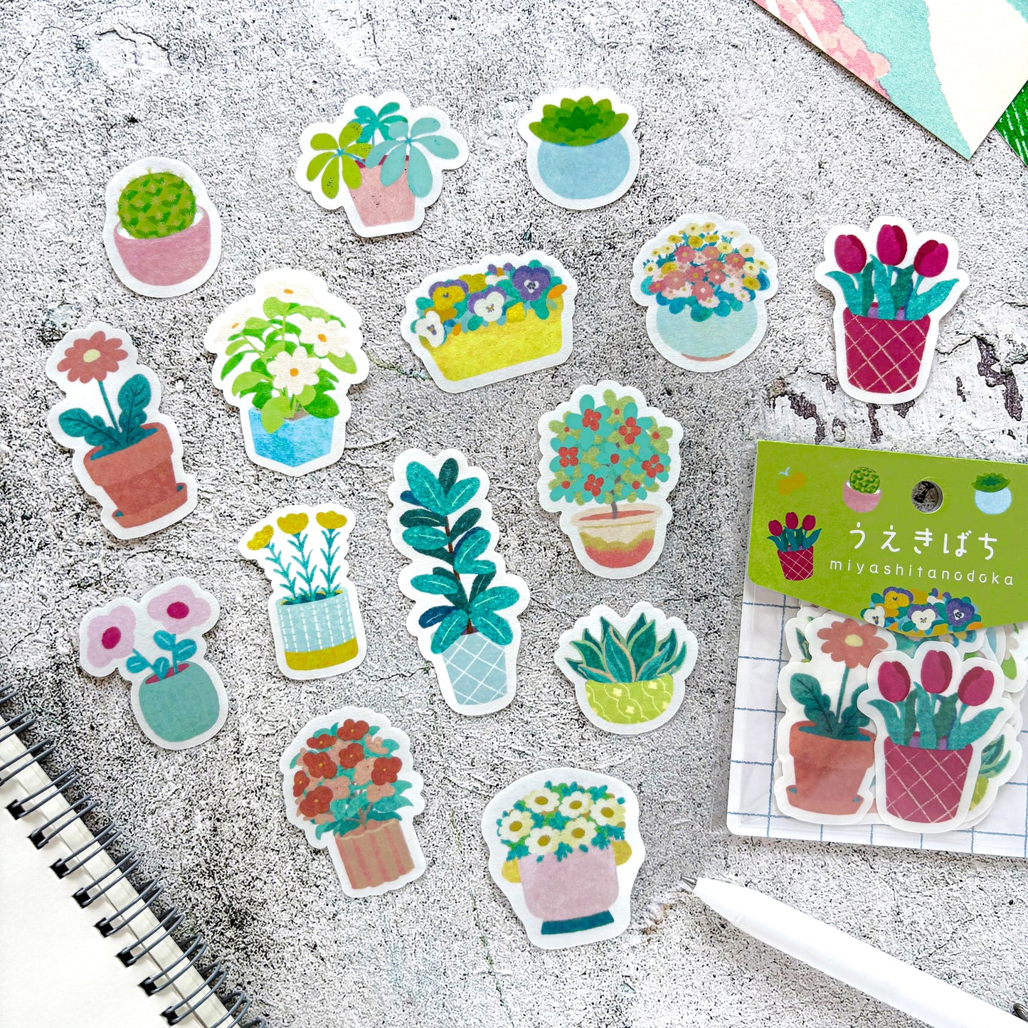 Nodoka Miyashita / Flake Stickers - Potted Plants