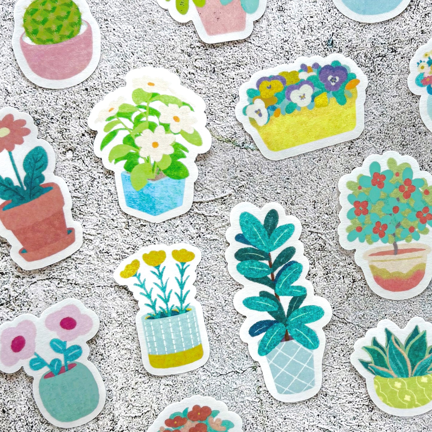 Nodoka Miyashita / Flake Stickers - Potted Plants