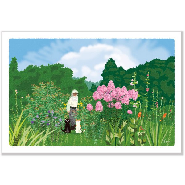 Toshinori Mori / Traveling Cat Postcard - Summer / Farm