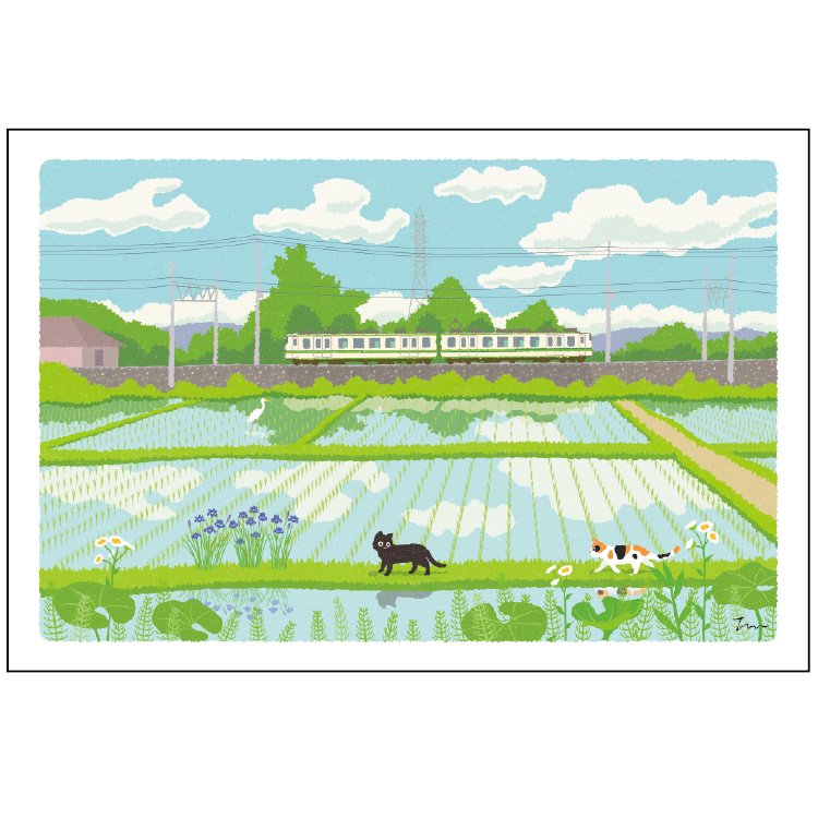 Traveling Cat Postcard - Summer / Rice Field