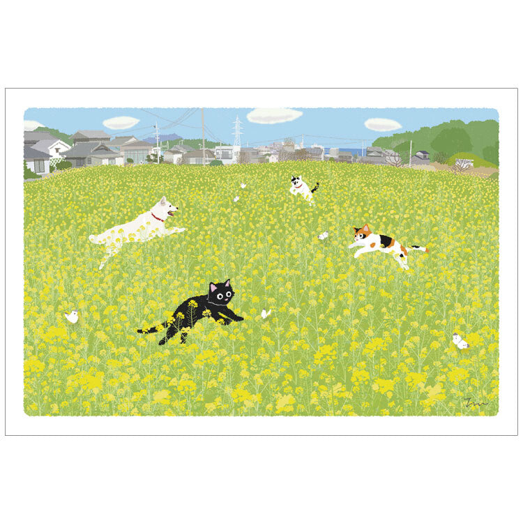 Toshinori Mori / Traveling Cat Postcard - Spring / Flower Garden