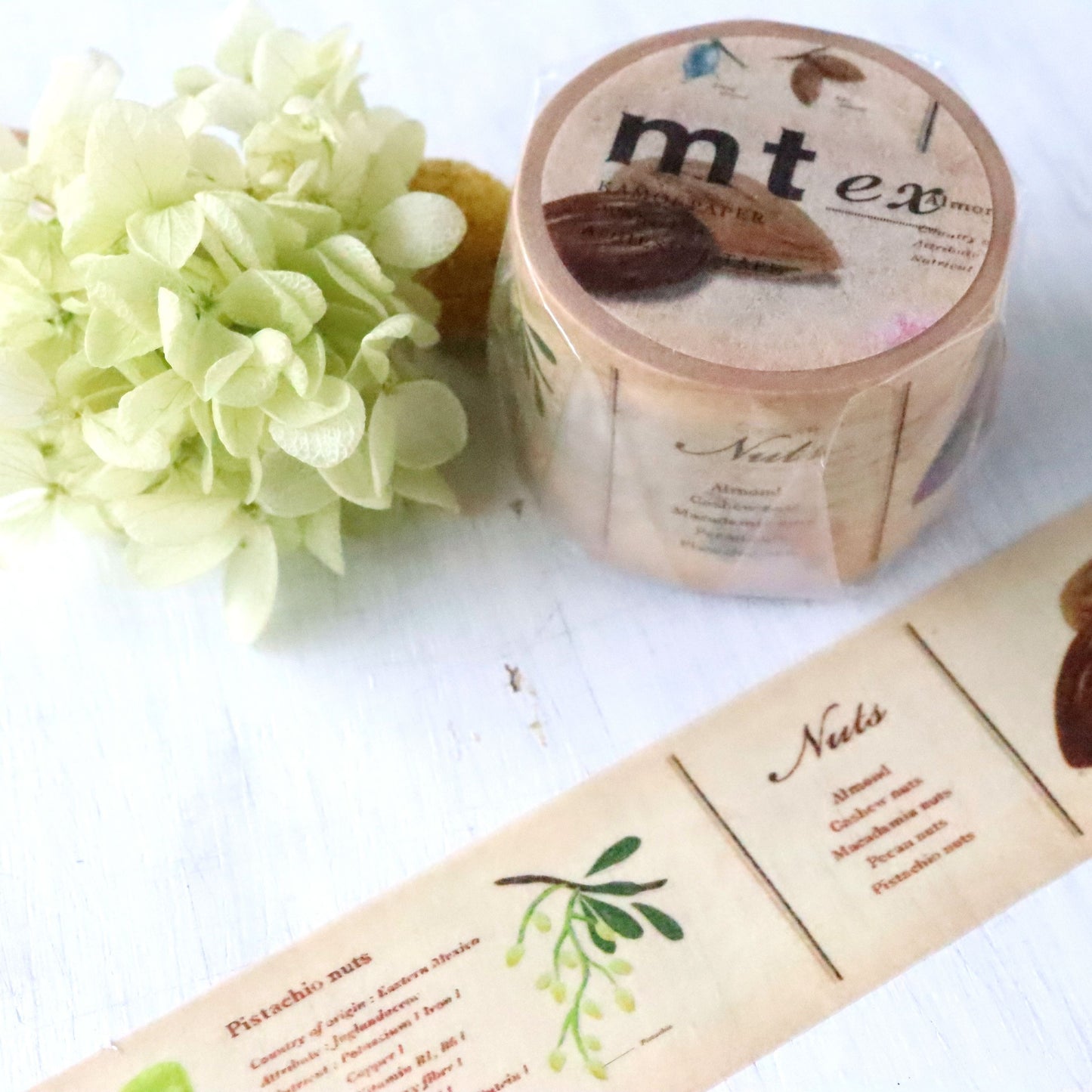mt ex Washi Tape - Encyclopedia Nuts
