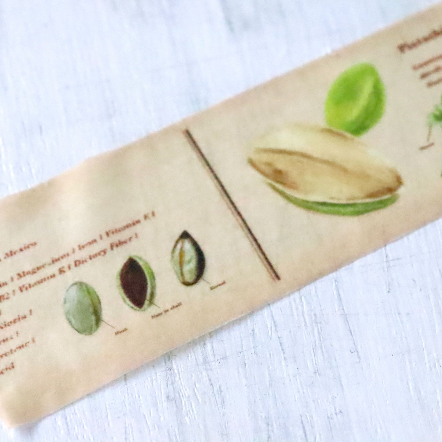 mt ex Washi Tape - Encyclopedia Nuts