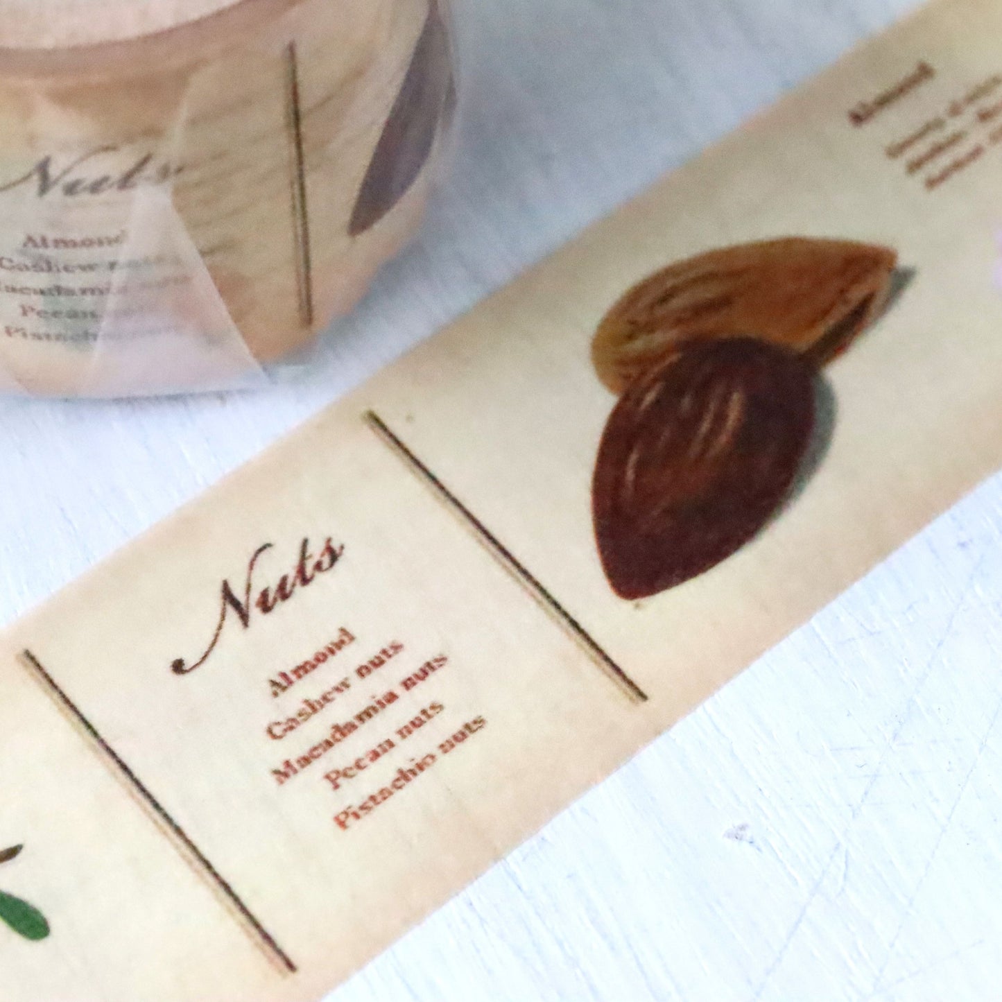mt ex Washi Tape - Encyclopedia Nuts