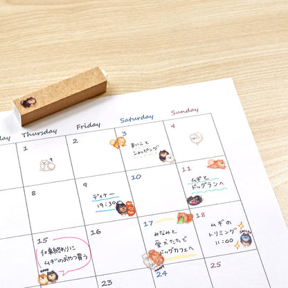 Mind Wave / Doggy Collection - Pomeranian