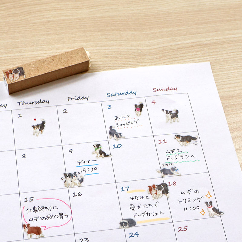 Mind Wave / Doggy Collection - Border Collie