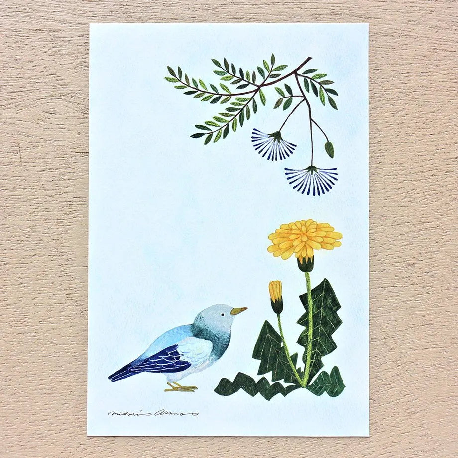 Midori Asano Postcard Set - Birds