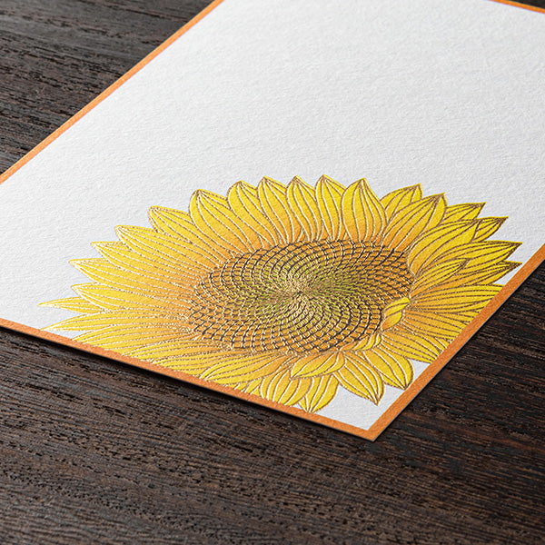 Summer Limited Postcard Set - Sunflower (6 cards)