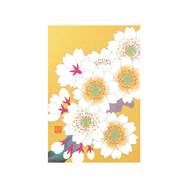 Spring Limited Postcard - Cherry Blossom