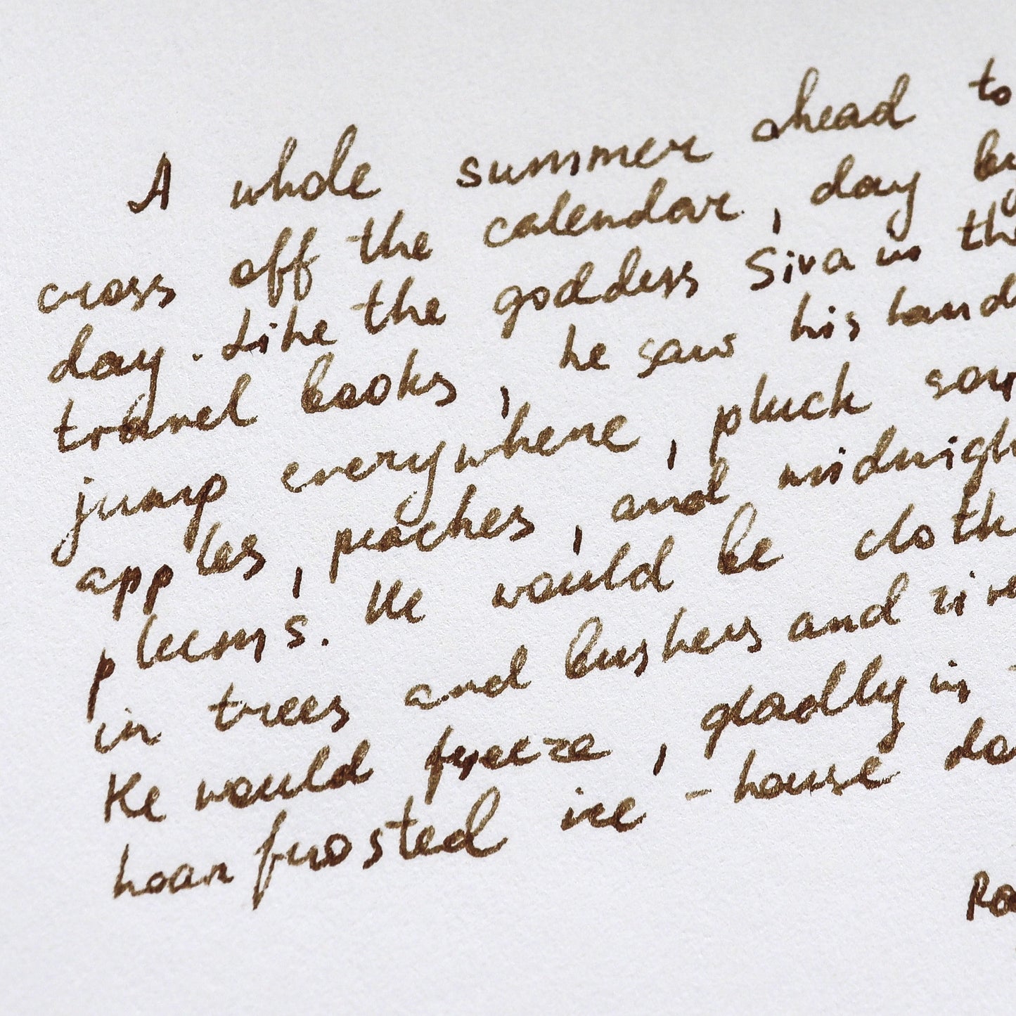 Torinoko Washi Paper Notebook - Plain A5