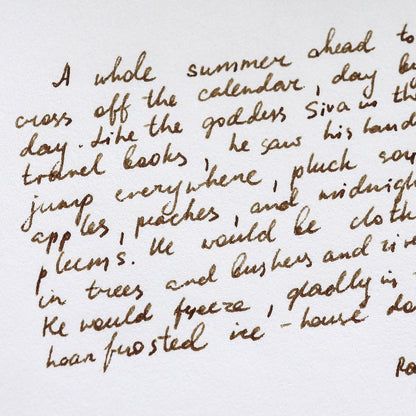 Torinoko Washi Paper Notebook - Plain A5