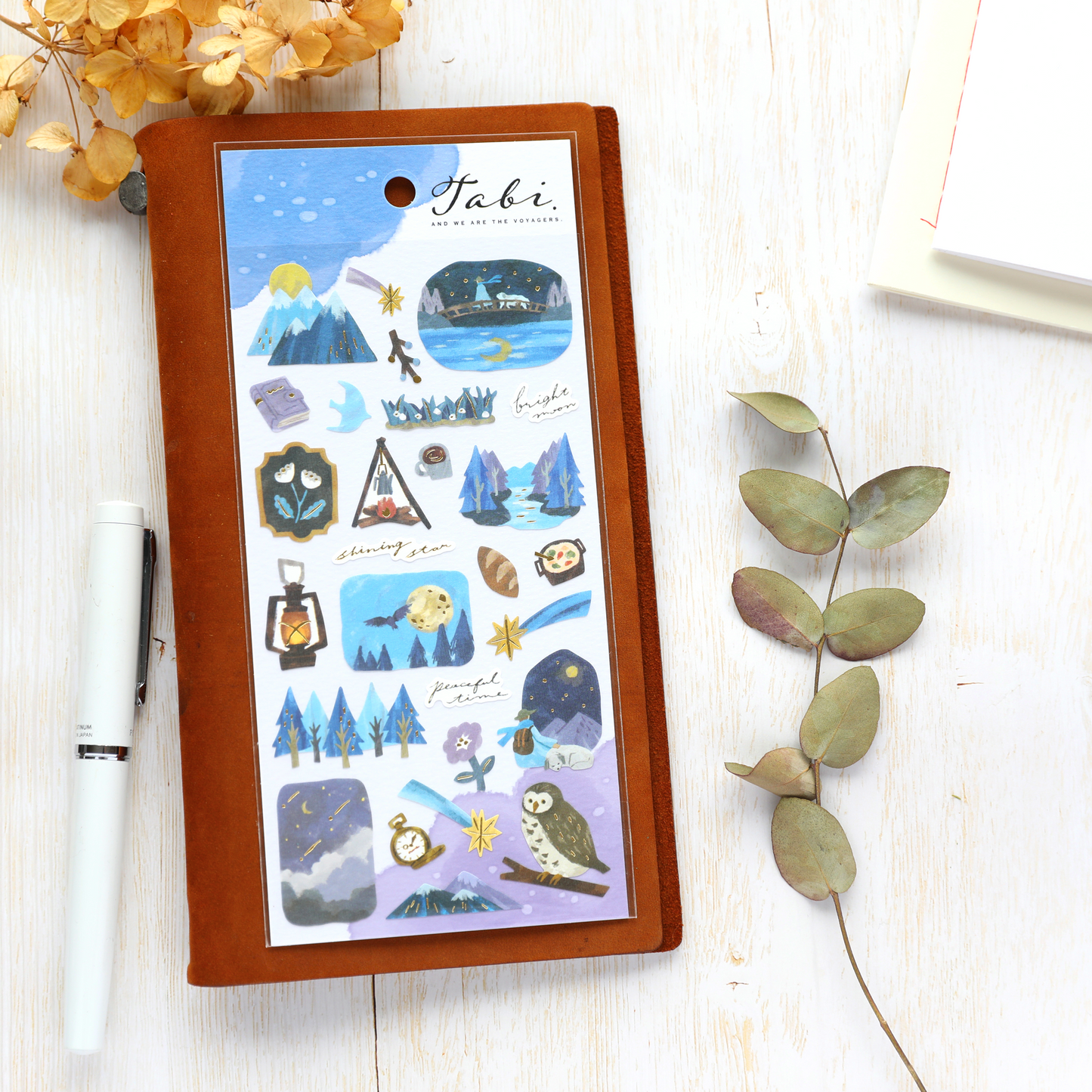 Travel Stickers - Night Forest