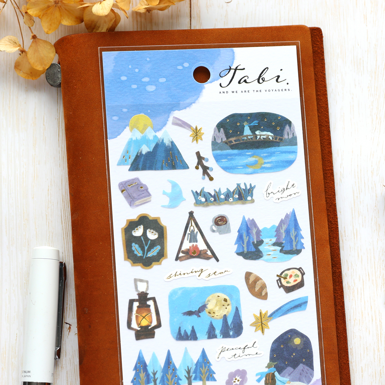 Travel Stickers - Night Forest