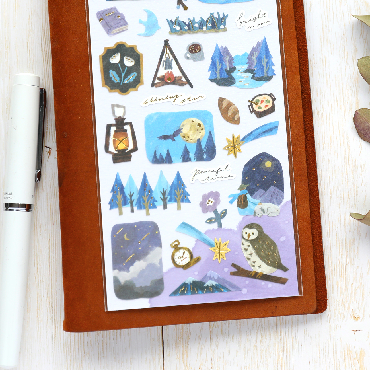 Travel Stickers - Night Forest