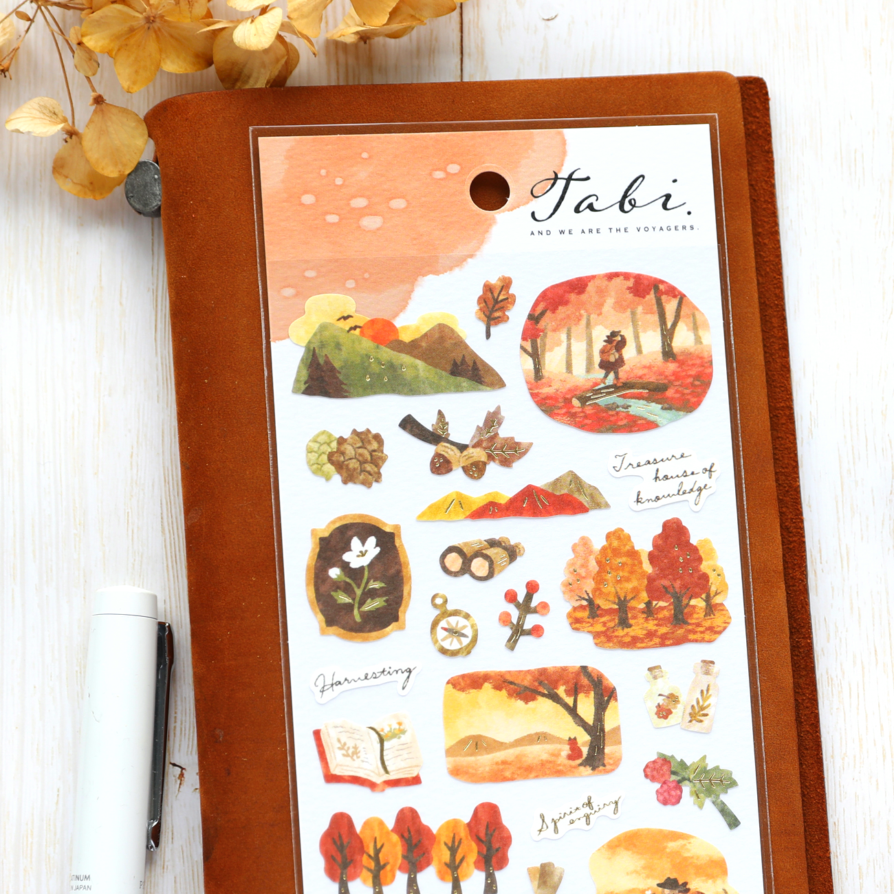 Travel Stickers - Autum Forest