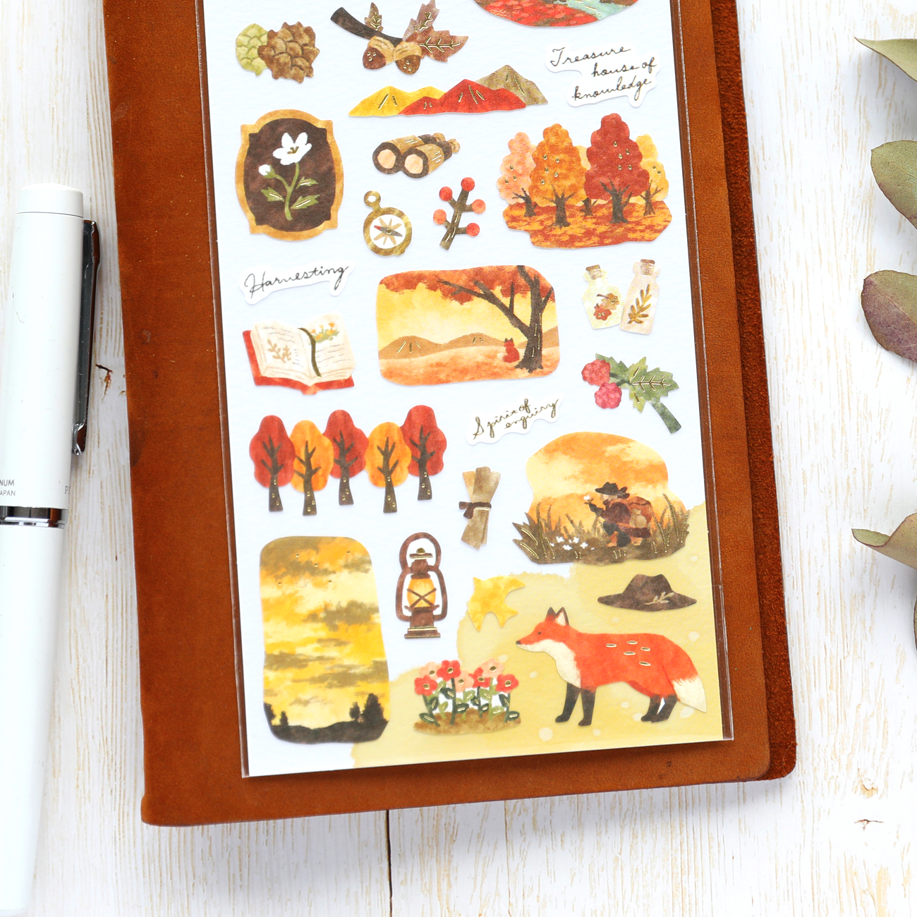Travel Stickers - Autum Forest