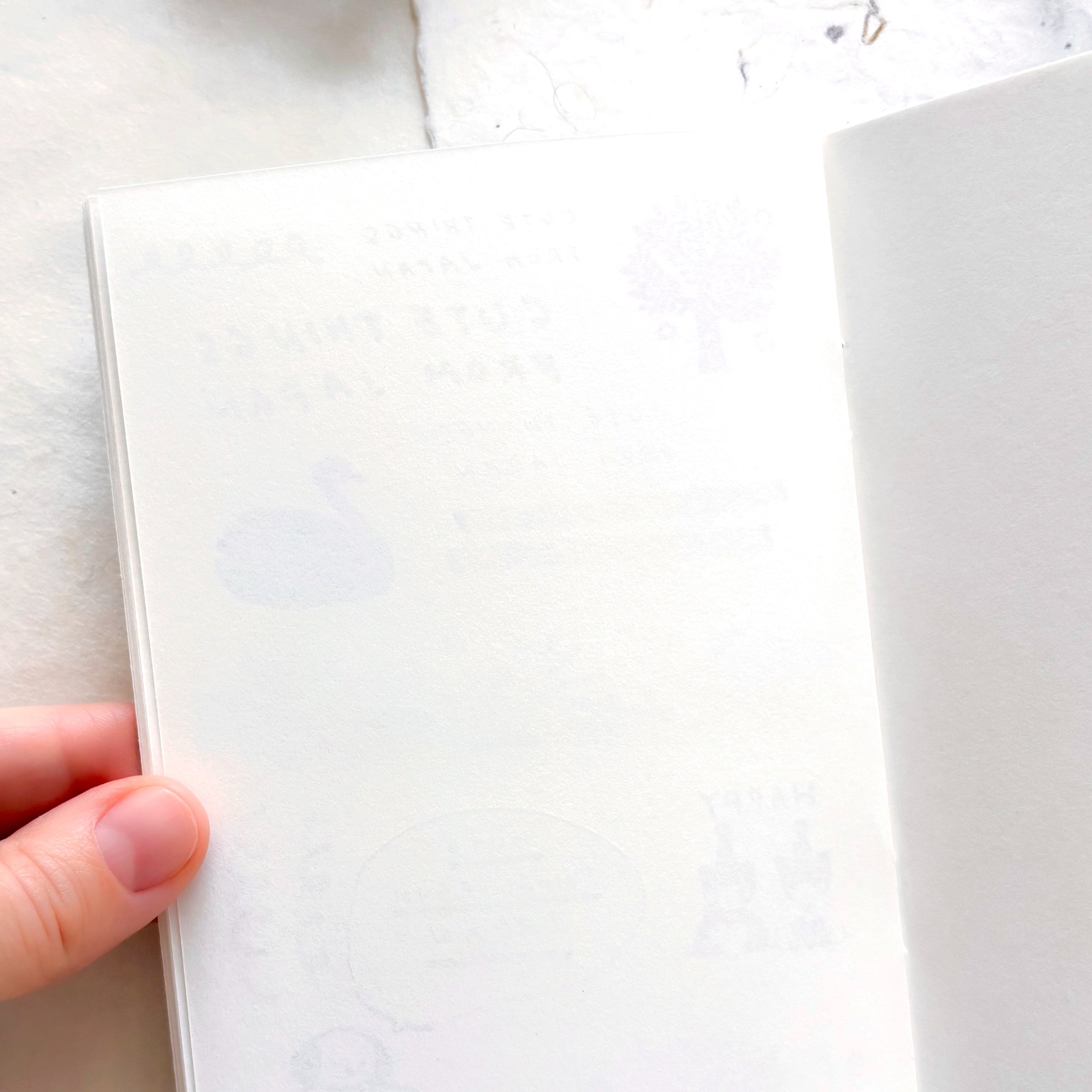 Nishi Shuku / A6 Stamp Notebook - swan forest