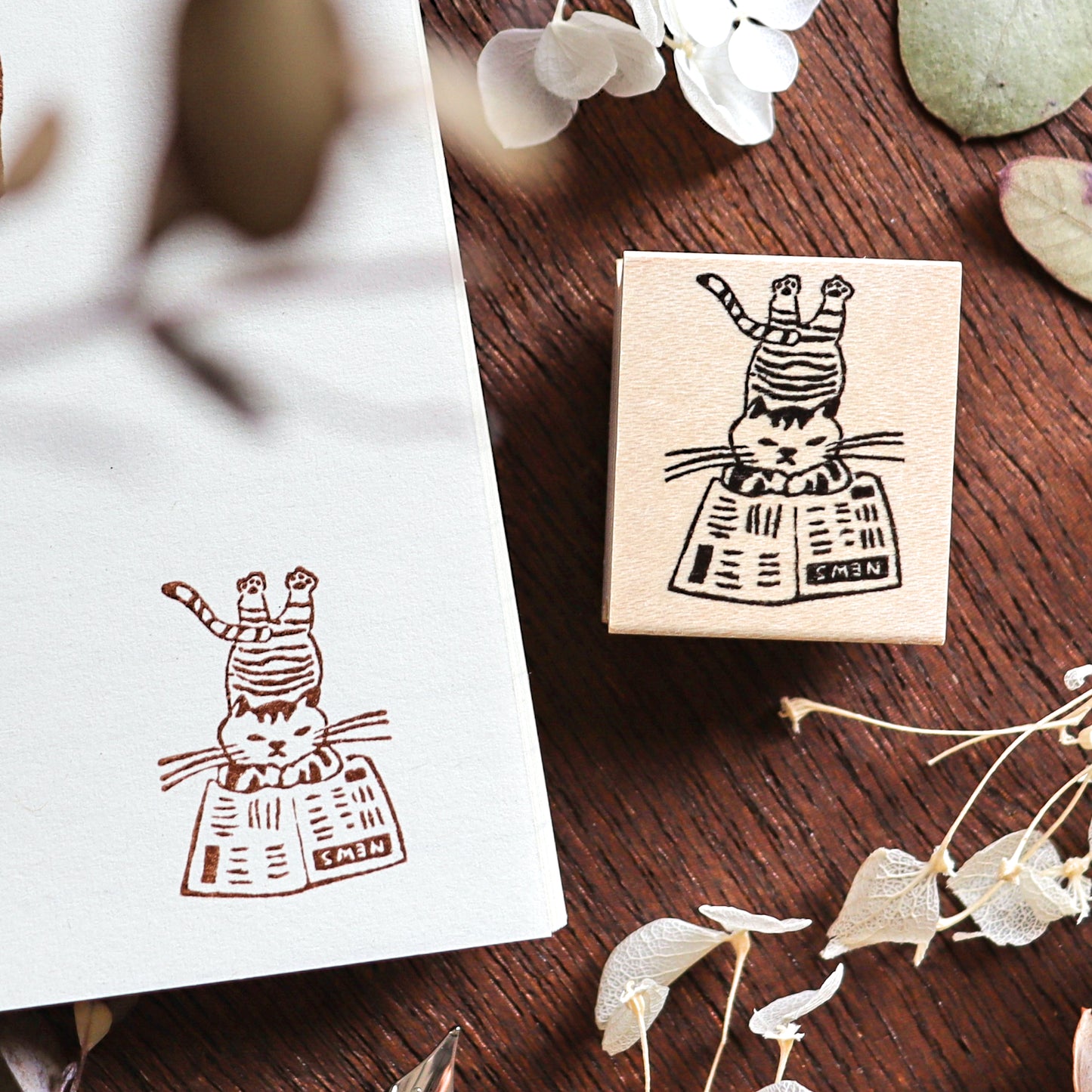 Hankodori / Rubber Stamp - Cat Reading Newspaper