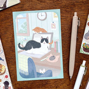 Cat Postcard - Play with me