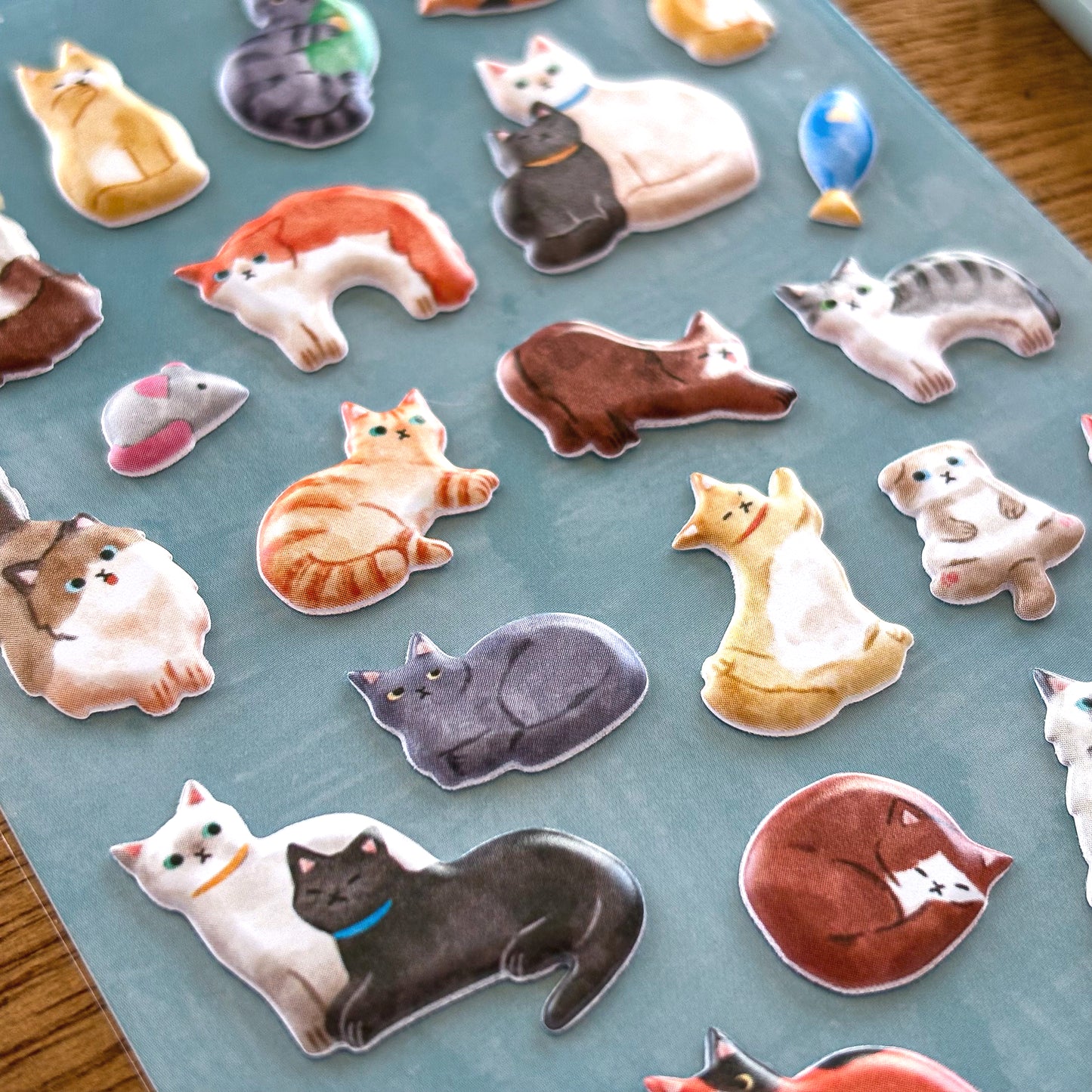 Mind Wave / Puffy Stickers - Cat  Life