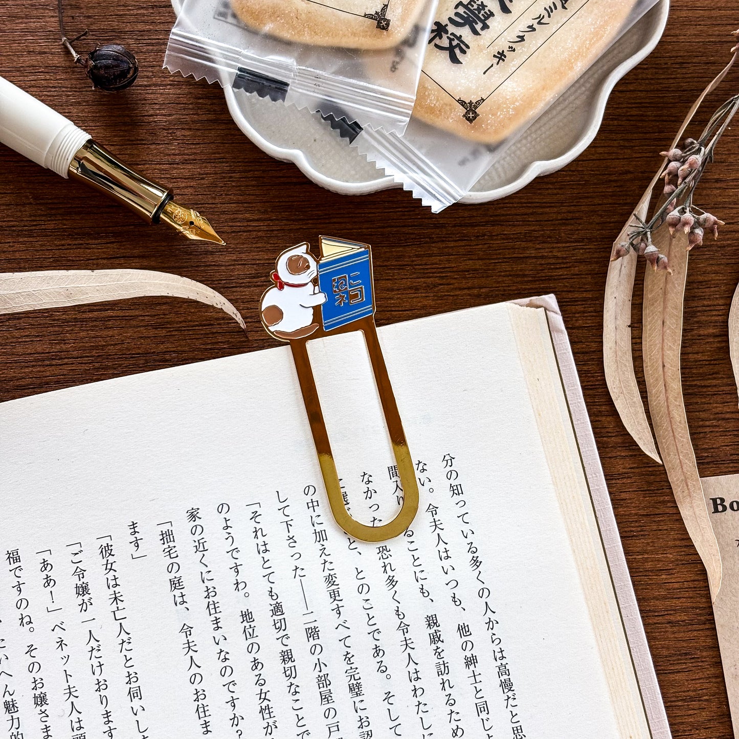 Pottering Cat / Bookmark - Dictionary