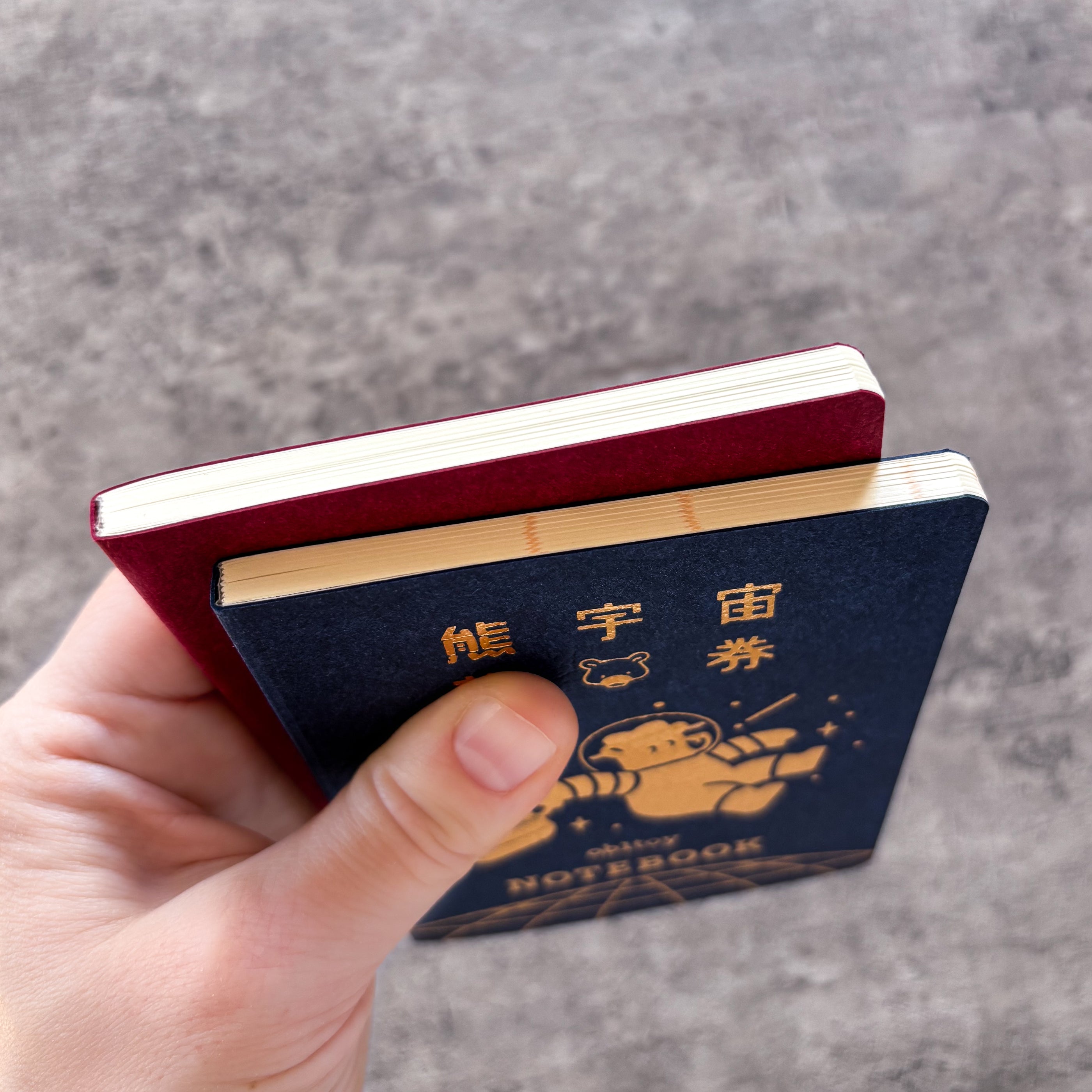 Obi1 / Passport Style Notebook - Galaxy Tours (blue)