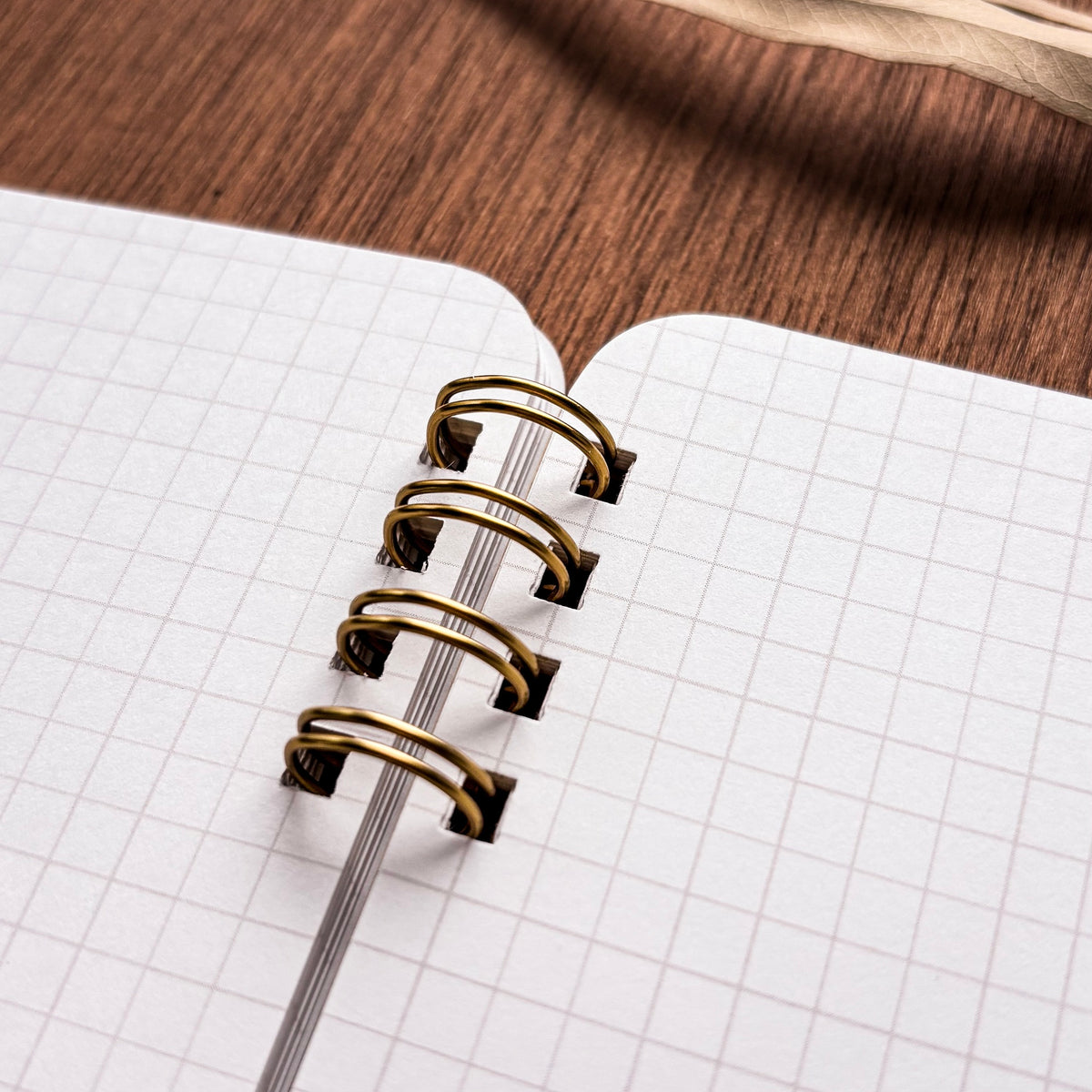 Kuusoogai / Small Ring Notebook - Flying Fish Town