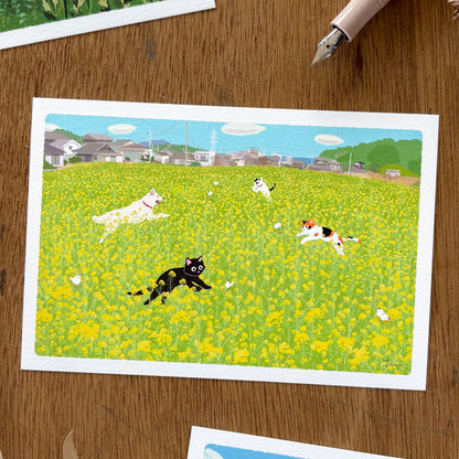 Toshinori Mori / Traveling Cat Postcard - Spring / Flower Garden