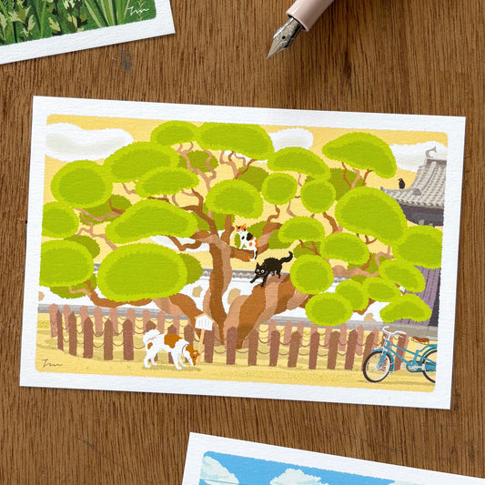 Toshinori Mori / Traveling Cat Postcard - Spring / Pine Tree