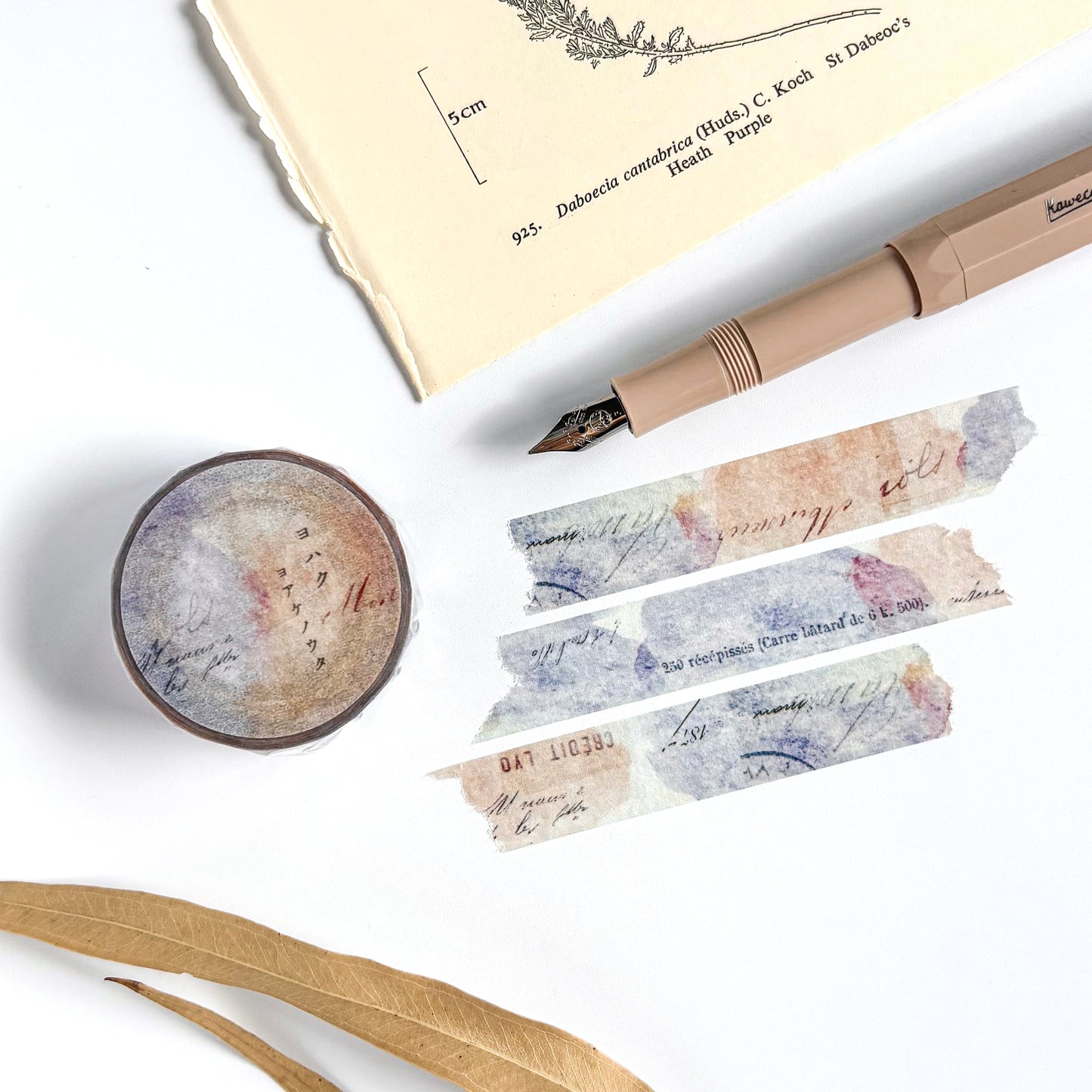 Yohaku / Washi Tape - Daylight Song