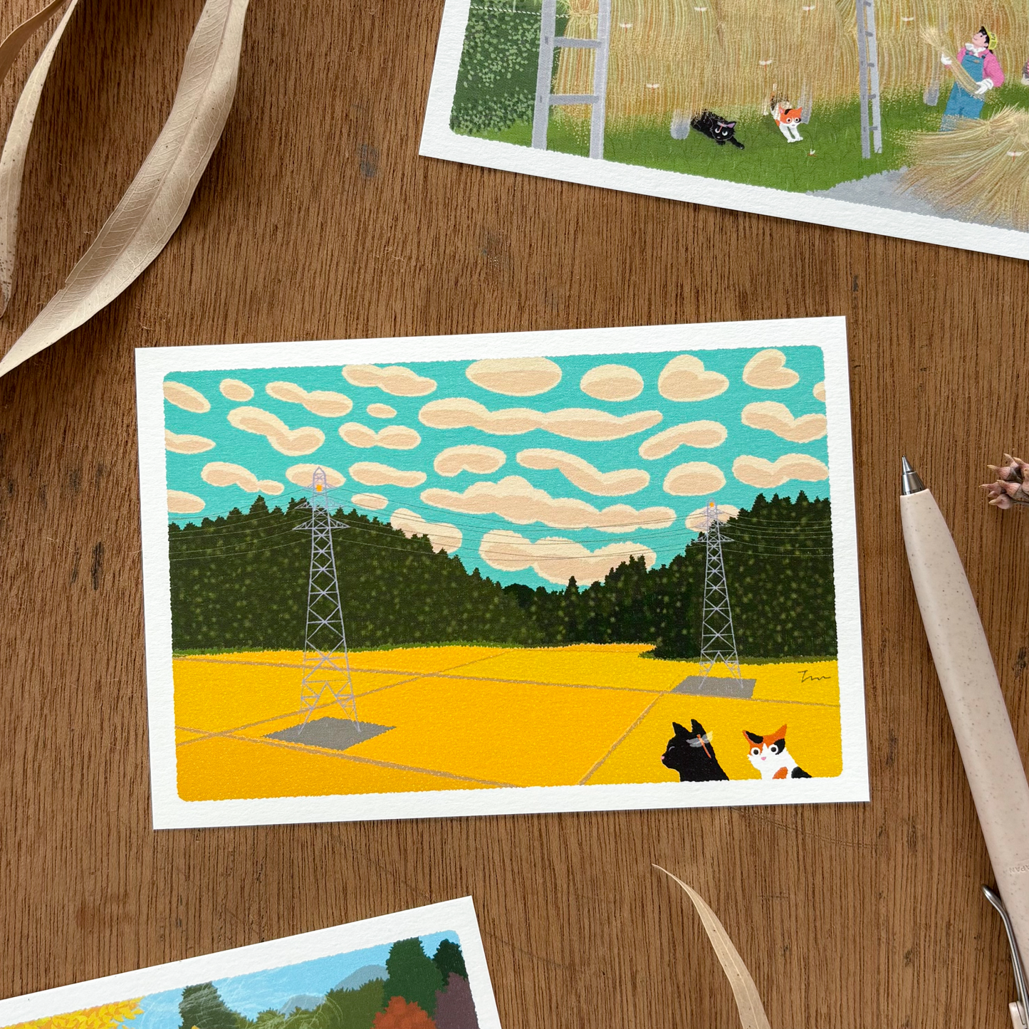 Toshinori Mori / Traveling Cat Postcard - Autumn / Rice Field