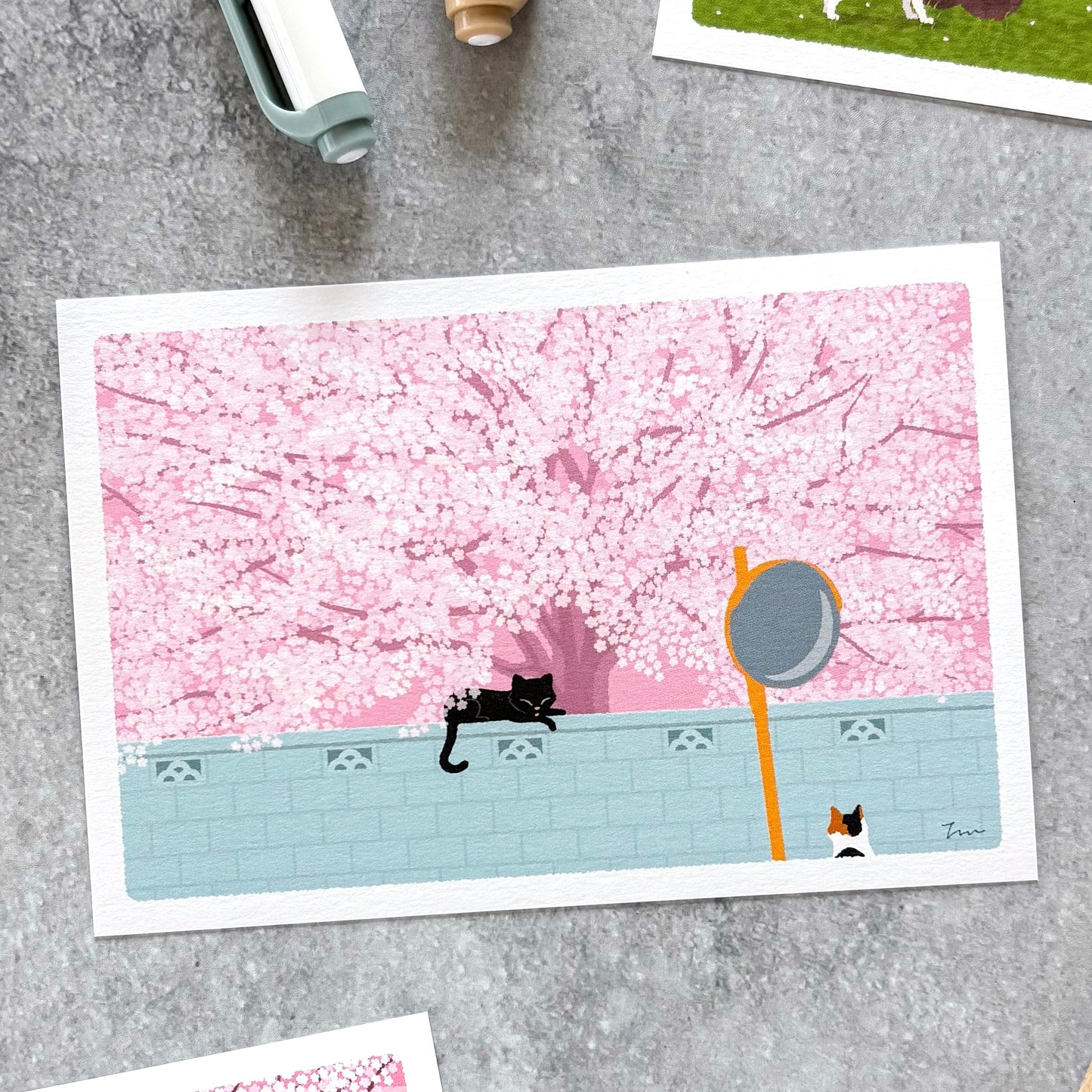 Toshinori Mori / Traveling Cat Postcard - Spring / Full Bloom