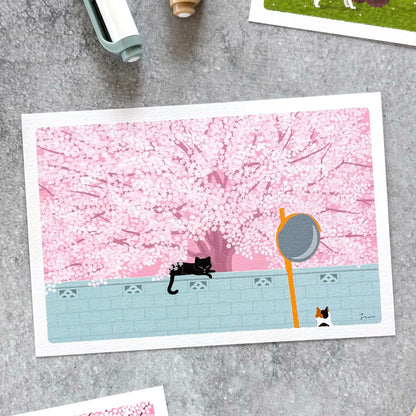 Toshinori Mori / Traveling Cat Postcard - Spring / Full Bloom