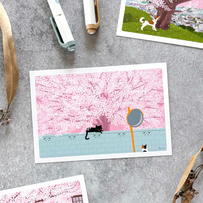 Toshinori Mori / Traveling Cat Postcard - Spring / Full Bloom