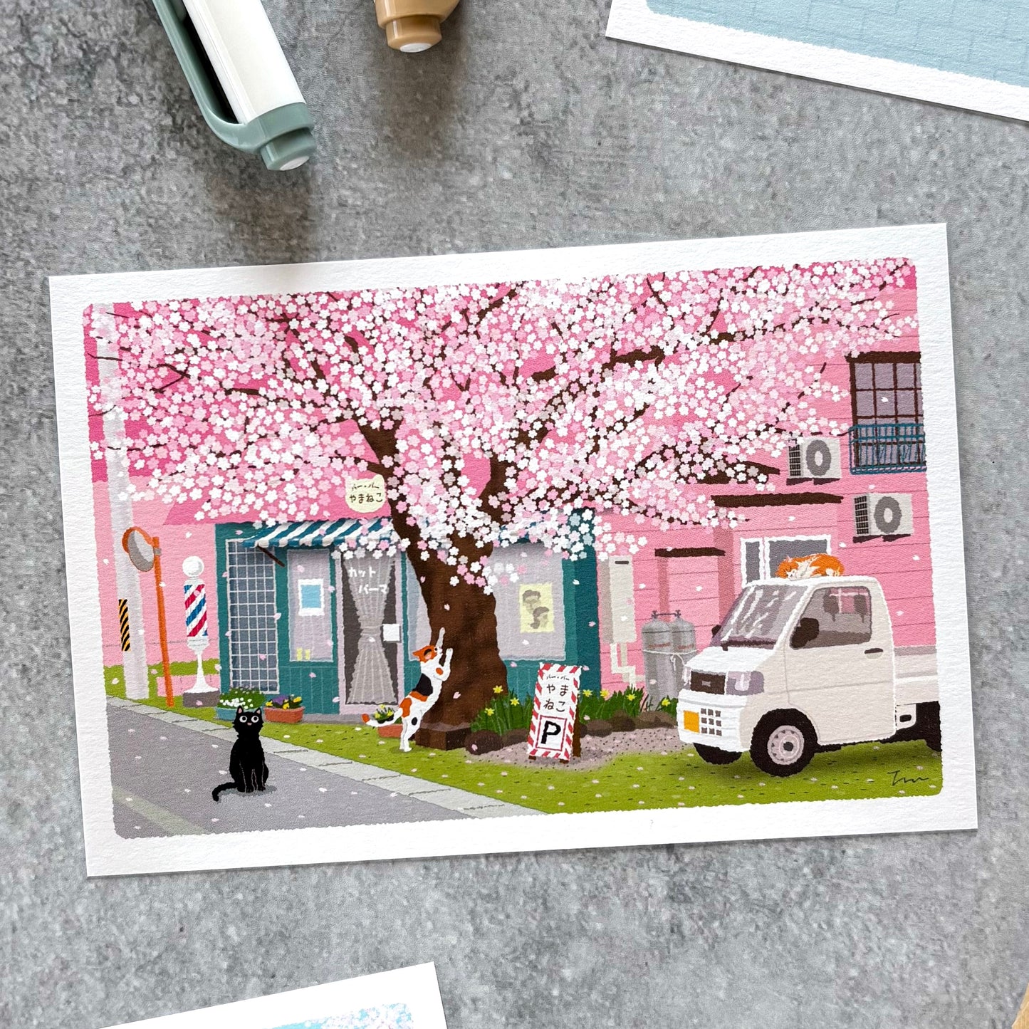 Toshinori Mori / Traveling Cat Postcard - Spring / Cherry Blossoms