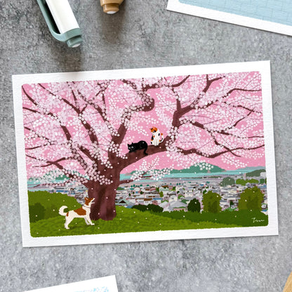 Toshinori Mori / Traveling Cat Postcard - Spring / Hill