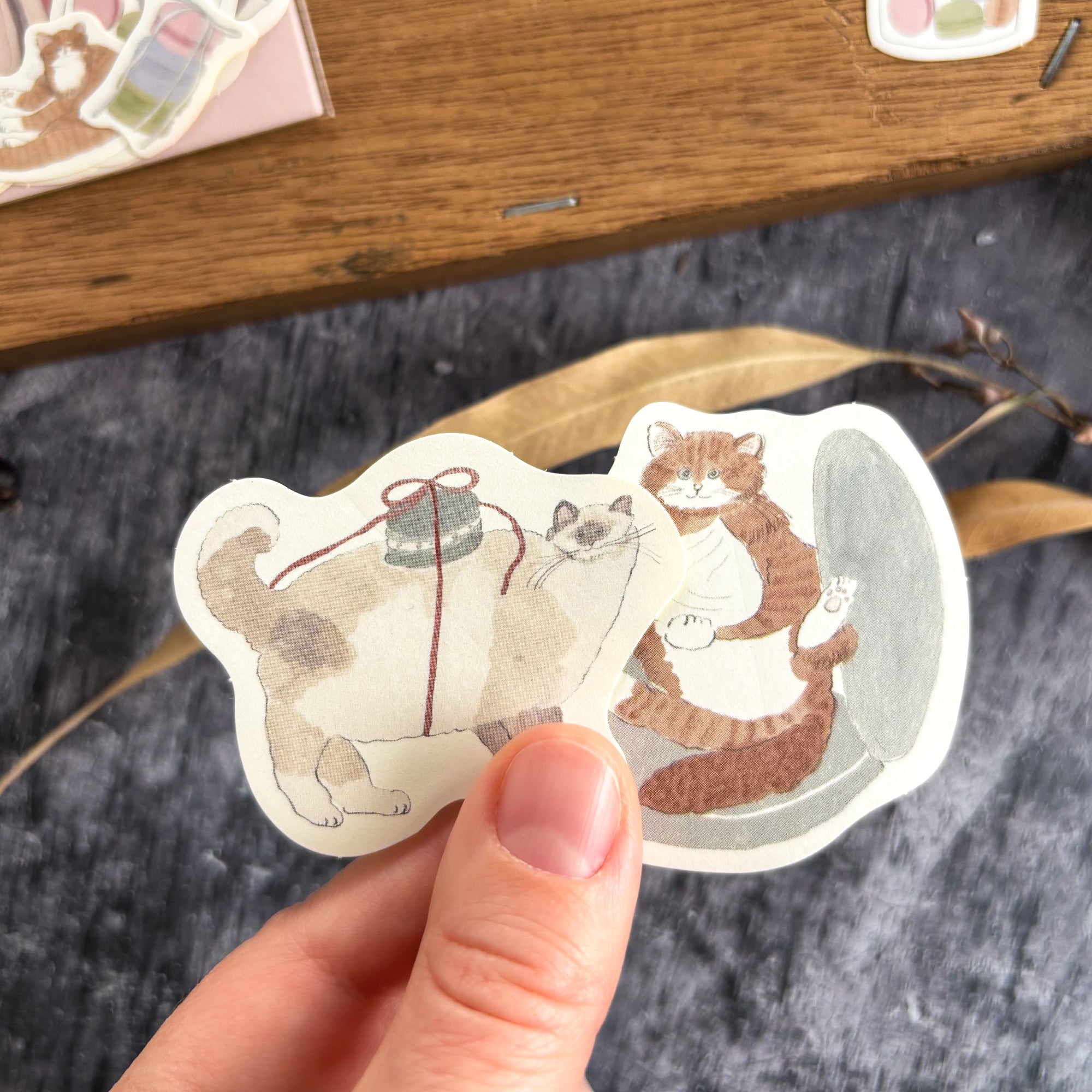 [Limited Edition] Shoichiro Tobimatsu / Flake Stickers - Macaron