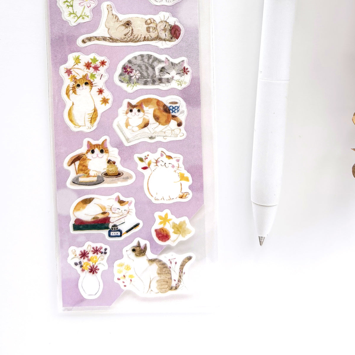 Autumn Limited Stickers - Cat