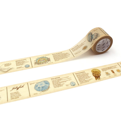 Washi Tape - Encyclopedia Jellyfish